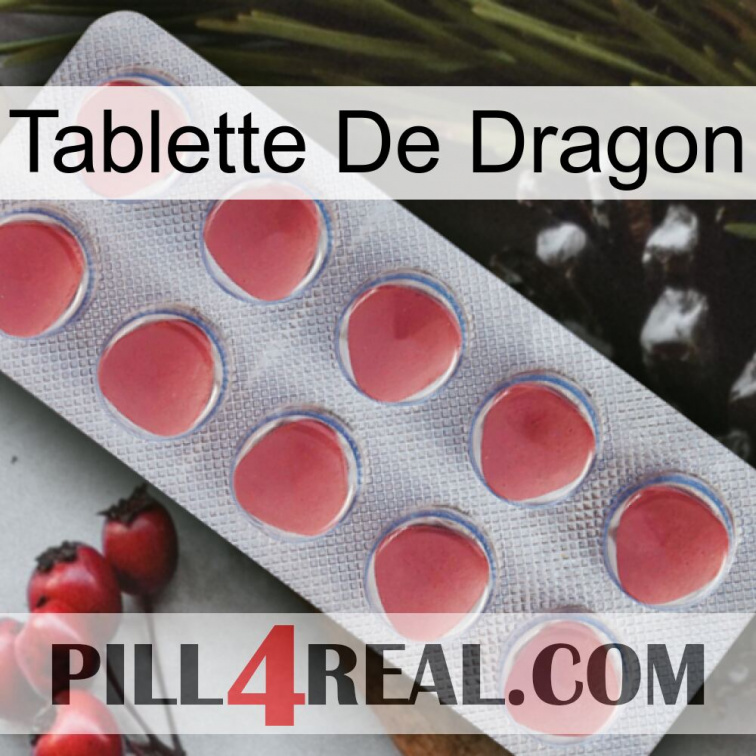 Dragon Tablet 18